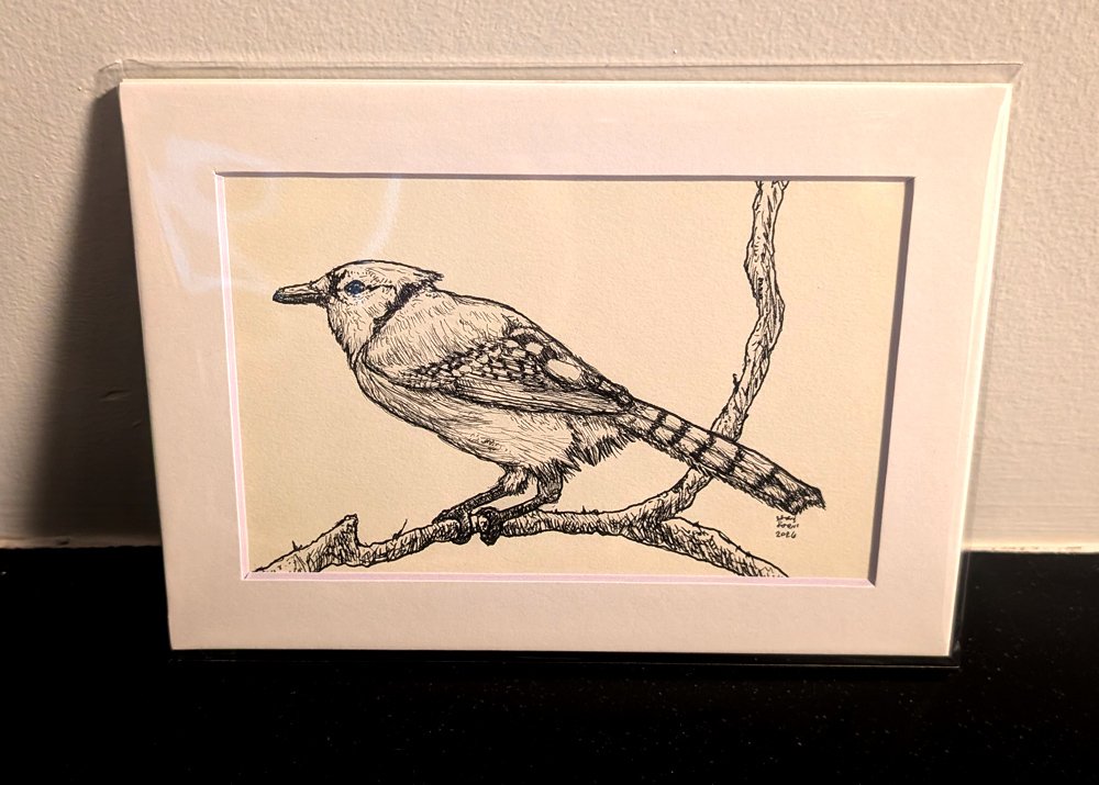 Blue Jay matted
